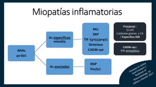 ANAs
40-80%
Ac específicos
miositis
Mi2
SRP
TIF 1(p155/p140)
Sintetasa
CADM-140
Ac asociados
RNP
Pm/Scl
P155/p140 :
13-20%
Cutáneas graves y CA
↑ Específico DM
CADM-140 :
DM amiopática
Miopatías inflamatorias
 