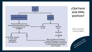 ¿Qué hacer
ante ANAs
positivos?
ENA: Extractable
nuclear antigens
 