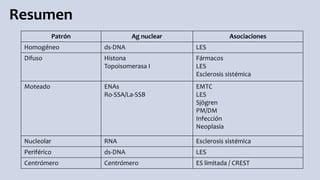 Patrón Ag nuclear Asociaciones
Homogéneo ds-DNA LES
Difuso Histona
Topoisomerasa I
Fármacos
LES
Esclerosis sistémica
Moteado ENAs
Ro-SSA/La-SSB
EMTC
LES
Sjögren
PM/DM
Infección
Neoplasia
Nucleolar RNA Esclerosis sistémica
Periférico ds-DNA LES
Centrómero Centrómero ES limitada / CREST
Resumen
 