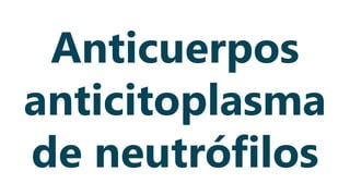 Anticuerpos
anticitoplasma
de neutrófilos
 