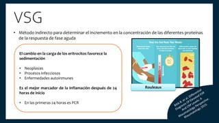 VSG
• Método indirecto para determinar el incremento en la concentración de las diferentes proteínas
de la respuesta de fase aguda
El cambio en la carga de los eritrocitos favorece la
sedimentación
• Neoplasias
• Procesos infecciosos
• Enfermedades autoinmunes
Es el mejor marcador de la inflamación después de 24
horas de inicio
• En las primeras 24 horas es PCR
Rouleaux
 