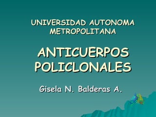 Gisela N. Balderas A. UNIVERSIDAD AUTONOMA METROPOLITANA ANTICUERPOS POLICLONALES 
