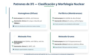 Comprehensive Overview of Antinuclear Antibodies (ANA) in Autoimmune ...