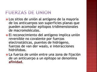  Los sitios de unión al antígeno de la mayoría
de los anticuerpos son superficies planas que
pueden acomodar epítopos tridimensionales
de macromoléculas.
 El reconocimiento del antígeno implica unión
reversible no covalente por fuerzas
electrostáticas, puentes de hidrógeno,
fuerzas de van der waals, e interacciones
hidrófobas.
 La fuerza de unión entre una zona de fijación
de un anticuerpo a un epítopo se denomina
afinidad.
 