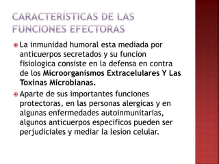  La inmunidad humoral esta mediada por
anticuerpos secretados y su funcion
fisiologica consiste en la defensa en contra
de los Microorganismos Extracelulares Y Las
Toxinas Microbianas.
 Aparte de sus importantes funciones
protectoras, en las personas alergicas y en
algunas enfermedades autoinmunitarias,
algunos anticuerpos especificos pueden ser
perjudiciales y mediar la lesion celular.
 