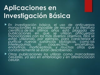 Aplicaciones en
Investigación Básica
   En investigación básica, el uso de anticuerpos
    monoclonales es imposible de resumir y la literatura
    científica de los últimos años está plagada de
    publicaciones en que se utilizan anticuerpos
    monoclonales con los más diversos objetivos. Ellos se
    están utilizando, por ejemplo, para caracterizar y
    purificar nuevas sustancias biológicas, como las
    interleuquinas,    la    caquectina,     encefalinas,
    endorfinas, morficeptinas, y muchas otras que
    constantemente se están describiendo.
   Otras publicaciones los utilizan como marcadores
    celulares, ya sea en embriología y en diferenciación
    celular.
 