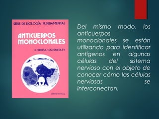 Del mismo modo, los
anticuerpos
monoclonales se están
utilizando para identificar
antígenos en algunas
células     del    sistema
nervioso con el objeto de
conocer cómo las células
nerviosas                se
interconectan.
 