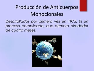 Producción de Anticuerpos
          Monoclonales
Desarrollados por primera vez en 1975. Es un
proceso complicado, que demora alrededor
de cuatro meses.
 