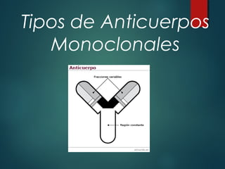 Tipos de Anticuerpos
   Monoclonales
 