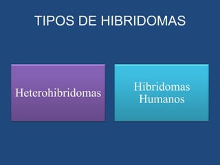 TIPOS DE HIBRIDOMAS

Heterohibridomas

Hibridomas
Humanos

 