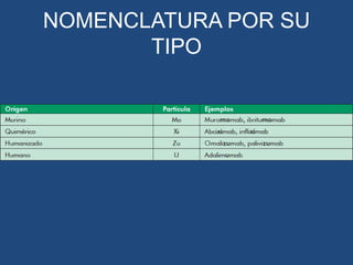 NOMENCLATURA POR SU
TIPO

 