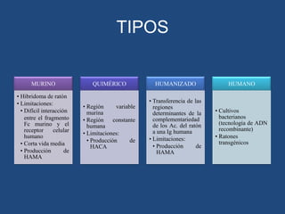 TIPOS

MURINO
• Hibridoma de ratón
• Limitaciones:
• Difícil interacción
entre el fragmento
Fc murino y el
receptor
celular
humano
• Corta vida media
• Producción
de
HAMA

QUIMÉRICO

HUMANIZADO

HUMANO

• Región
variable
murina
• Región
constante
humana
• Limitaciones:
• Producción
de
HACA

• Transferencia de las
regiones
determinantes de la
complementariedad
de los Ac. del ratón
a una Ig humana
• Limitaciones:
• Producción
de
HAMA

• Cultivos
bacterianos
(tecnología de ADN
recombinante)
• Ratones
transgénicos

 