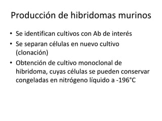 • Se identifican cultivos con Ab de interés
• Se separan células en nuevo cultivo
(clonación)
• Obtención de cultivo monoclonal de
hibridoma, cuyas células se pueden conservar
congeladas en nitrógeno líquido a -196°C
Producción de hibridomas murinos
 