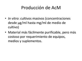 Producción de AcM
• In vitro: cultivos masivos (concentraciones
desde µg/ml hasta mg/ml de medio de
cultivo)
• Material más fácilmente purificable, pero más
costoso por requerimiento de equipos,
medios y suplementos.
 