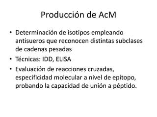 Producción de AcM
• Determinación de isotipos empleando
antisueros que reconocen distintas subclases
de cadenas pesadas
• Técnicas: IDD, ELISA
• Evaluación de reacciones cruzadas,
especificidad molecular a nivel de epítopo,
probando la capacidad de unión a péptido.
 