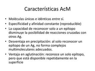 Características AcM
• Moléculas únicas e idénticas entre sí.
• Especificidad y afinidad constante (reproducible)
• La capacidad de reconocer solo a un epítopo
disminuye la posibilidad de reacciones cruzadas con
otros Ag.
• Desventaja en precipitación: al solo reconocer un
epítopo de un Ag, no forma complejos
multimoleculares adecuados.
• Ventaja en aglutinación: reconoce un solo epítopo,
pero que está disponible repetidamente en la
superficie
 