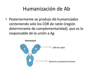 Humanización de Ab
• Posteriormente se produjo Ab humanizados
conteniendo solo los CDR de ratón (región
determinante de complementaridad), que es la
responsable de la unión a Ag
CDR de ratón
Dominio constante humano
 