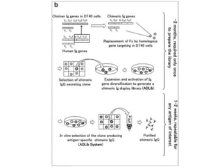 Anticuerpos monoclonales