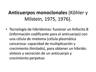 Anticuerpos monoclonales (Köhler y
Milstein, 1975, 1976).
• Tecnología de hibridomas: fusionar un linfocito B
(información codificante para el anticuerpo) con
una célula de mieloma (célula plasmática
cancerosa: capacidad de multiplicación y
crecimiento ilimitado), para obtener un híbrido:
síntesis y secreción de un anticuerpo y
crecimiento perpetuo
 