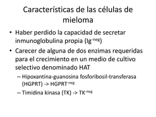 Características de las células de
mieloma
• Haber perdido la capacidad de secretar
inmunoglobulina propia (Ig-neg)
• Carecer de alguna de dos enzimas requeridas
para el crecimiento en un medio de cultivo
selectivo denominado HAT
– Hipoxantina-guanosina fosforibosil-transferasa
(HGPRT) -> HGPRT-neg
– Timidina kinasa (TK) -> TK-neg
 