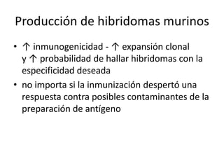 Producción de hibridomas murinos
• ↑ inmunogenicidad - ↑ expansión clonal
y ↑ probabilidad de hallar hibridomas con la
especificidad deseada
• no importa si la inmunización despertó una
respuesta contra posibles contaminantes de la
preparación de antígeno
 