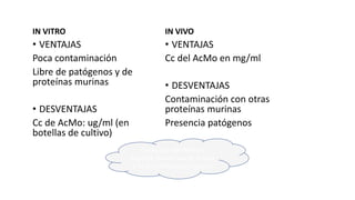 IN VITRO
• VENTAJAS
Poca contaminación
Libre de patógenos y de
proteínas murinas
• DESVENTAJAS
Cc de AcMo: ug/ml (en
botellas de cultivo)
IN VIVO
• VENTAJAS
Cc del AcMo en mg/ml
• DESVENTAJAS
Contaminación con otras
proteínas murinas
Presencia patógenos
La elección del método
depende del uso que se le dará
y de la cantidad que requiera
 