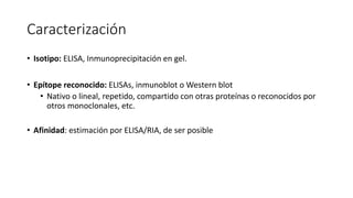 Caracterización
• Isotipo: ELISA, Inmunoprecipitación en gel.
• Epítope reconocido: ELISAs, inmunoblot o Western blot
• Nativo o lineal, repetido, compartido con otras proteínas o reconocidos por
otros monoclonales, etc.
• Afinidad: estimación por ELISA/RIA, de ser posible
 