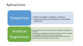 Aplicaciones
• Terapias oncológicas conjugados a citotoxinas
• Terapia anti rechazo de transplantes y enfermedades
autoinmunes
Terapéuticas
•Purificación de sustancias a partir de mezclas complejas (cromatografía de
afinidad).
•Identificación y cuantificación de moléculas solubles en muestras complejas
•Como reactivo en técnicas de interacción primaria como
inmunofluorescencia, citometría de flujo y ELISA; WB, Mabs quiméricos.
•Diagnóstico de enfermedades infecciosas y cáncer
Analíticas
Diagnósticas
 