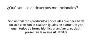 ¿Qué son los anticuerpos monoclonales?
Son anticuerpos producidos por células que derivan de
un solo clon con lo cual son iguales en estructura y se
unen todos de forma idéntica al antígeno, es decir,
presentan la misma AFINIDAD.
 