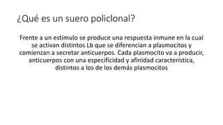 ¿Qué es un suero policlonal?
Frente a un estímulo se produce una respuesta inmune en la cual
se activan distintos Lb que se diferencian a plasmocitos y
comienzan a secretar anticuerpos. Cada plasmocito va a producir,
anticuerpos con una especificidad y afinidad característica,
distintos a los de los demás plasmocitos
 