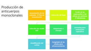Producción de
anticuerpos
monoclonales
Inmunización de los
animales → Plan de
inmunización
Extracción del bazo
Fusión de los
esplenocitos y las
células de mieloma.
→ Hibridomas
Selección por medio
HAT
Aislamiento o
Clonado
Screening para
anticuerpos
específicos
Amplificación del
cultivo
Congelado de las
células para
almacenamiento
 