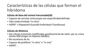 Características de las células que forman el
hibridoma
Células de Bazo del animal inmunizado(LB)
• Capaces de secretar anticuerpos con especificidad definida
• Vida media limitada “in vitro”
• HGPRT + (Hipoxantil-Guanidil-Fosforibosil-Transferasa)
Células de Mieloma
• Son células tumorales modificadas genéticamente de ratón: por ej. Línea
celular NS0 (origen en Ratones BALB/c).
• No secretoras de Ac.
• Capaces de proliferar “in vitro” e “in vivo”
• HGPRT -
 
