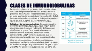 CLASES DE INMUNOGLOBULINAS
Existen cinco clases de Igs. Varios factores determinan
que clase de Ig debe ser sintetizada en respuesta a la
presencia de un Ag. Los lipopolisacáridos generan IgM,
en tanto que los alergenos inducen la producción de IgE.
También influyen las citoquinas, la IL-4 ayuda a producir
IgGl e IgE, la IL-5, IgM e IgA. El interferón γ, IgG2.
Sublclases de inmunoglobulinas. Se conocen cuatro
diferentes para la IgG, IgG1, IgG2, IgG3 e IgG4 que se
diferencian por el número y ubicación de los puentes
disulfuro en el gozne. Cada una de ellas tiene un
comportamiento específico en relación con el
complemento. La IgA tiene dos subclases, que se
diferencian por la rapidez con que son catabolizadas.
Algunos microorganismos producen proteasas que
desintegran parcialmente la molécula de IgA1, pero que
no afectan la de IgA2. Hay dos subclases de IgM, la IgM1
y la IgM2. No se conocen subclases para las IgD e IgE.
 