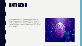 ANTIGENO
Es toda molécula proteica presente en
microorganismos o células, que tiene la
capacidad de inducir la producción de un
anticuerpo.
 