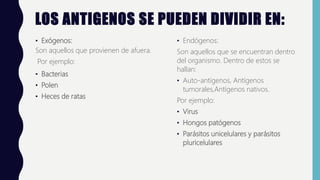 LOS ANTIGENOS SE PUEDEN DIVIDIR EN:
• Exógenos:
Son aquellos que provienen de afuera.
Por ejemplo:
• Bacterias
• Polen
• Heces de ratas
• Endógenos:
Son aquellos que se encuentran dentro
del organismo. Dentro de estos se
hallan:
• Auto-antígenos, Antígenos
tumorales,Antígenos nativos.
Por ejemplo:
• Virus
• Hongos patógenos
• Parásitos unicelulares y parásitos
pluricelulares
 
