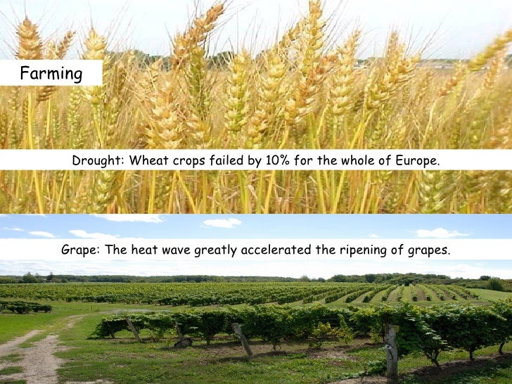 Anticyclone case study 07 picture