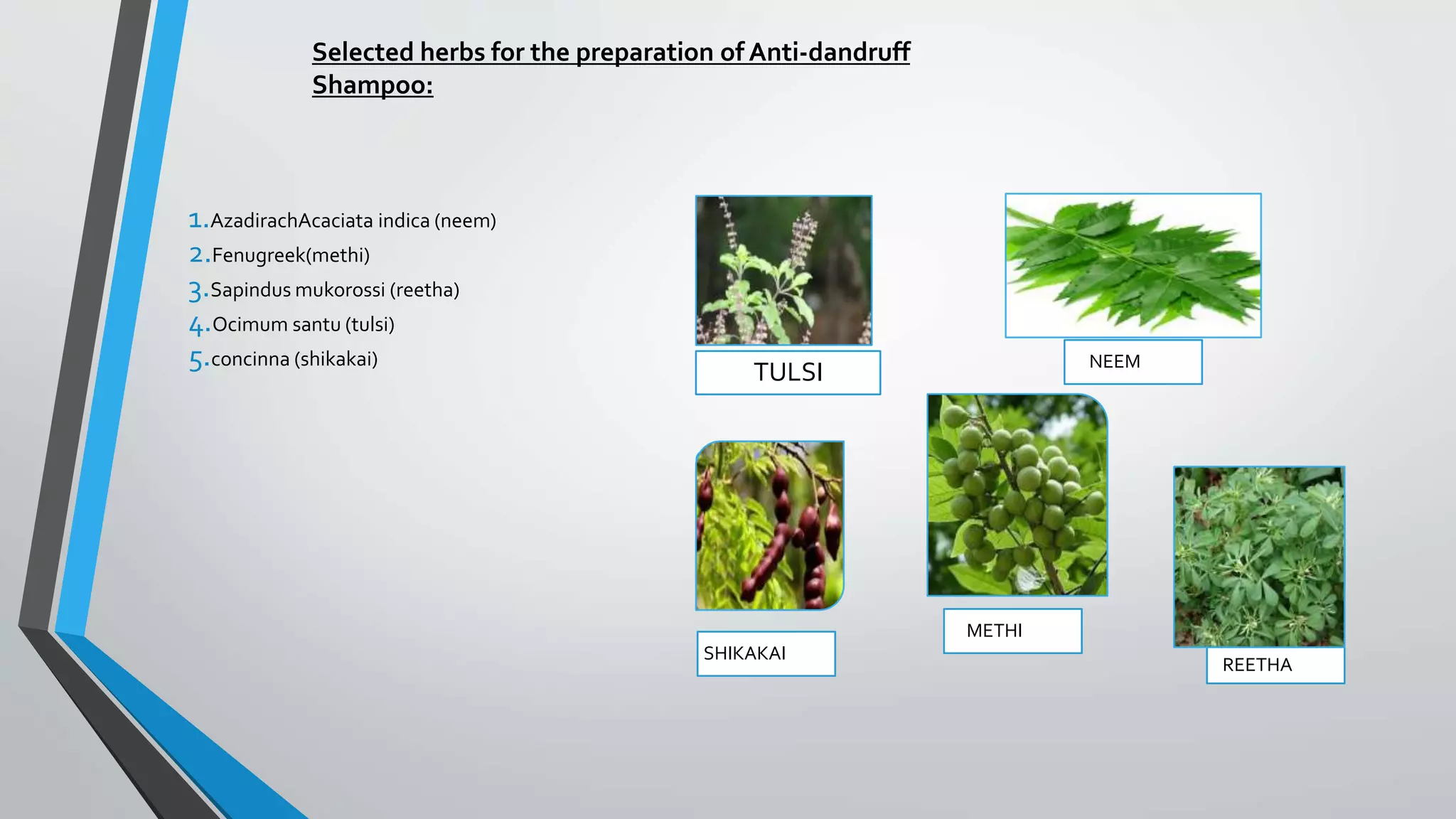 TULSI NEEM
SHIKAKAI
METHI
REETHA
1.AzadirachAcaciata indica (neem)
2.Fenugreek(methi)
3.Sapindus mukorossi (reetha)
4.Ocimum santu (tulsi)
5.concinna (shikakai)
Selected herbs for the preparation of Anti-dandruff
Shampoo:
 