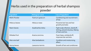 Herbs used in the preparation of herbal shampoo
powder
Ingredient Biological name Use of Ingredient
Methi Powder Foemum graecum Conditioning and nourishment
of hair
Hibiscus leaves Hibiscus rosea Prevents hair loss and hair
growth promoter.
Neem leaves Azadirachta indica Fight scalp infection, dandruff,
itching, prevent dryness, flaking
of hairs and lice.
Shikakai fruit Acacia concinna Foam base, antidandruff,
improves hair and skin.
Aloe vera leaf Aloe barbadensis Condition and moisturizing
effect.
Henna leaves Lawsonia inermis Growth of hair and conditioner.
 