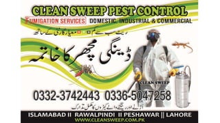 anti dengue spray services in islamabad