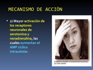 MECANISMO DE ACCIÒN 2) Mayor  activaciòn de los receptores neuronales de serotonina y noradrenalina , las cuales  aumentan el AMP cìclico intracelular.  
