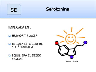 SerotoninaSE
IMPLICADA	
  EN	
  :	
  	
  
	
  
q  HUMOR	
  Y	
  PLACER	
  
q  REGULA	
  EL	
  	
  CICLIO	
  DE	
  
SUEÑO-­‐VIGILIA	
  
q  EQUILIBRA	
  EL	
  DESEO	
  
SEXUAL	
  
	
  
	
  
 