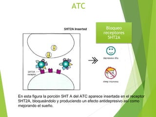 ATC
En esta figura la porción 5HT A del ATC aparece insertada en el receptor
5HT2A, bloqueándolo y produciendo un efecto antidepresivo así como
mejorando el sueño.
Bloqueo
receptores
5HT2A
 