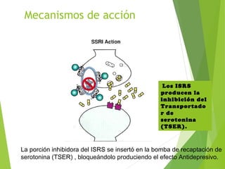 Mecanismos de acción
La porción inhibidora del ISRS se insertó en la bomba de recaptación de
serotonina (TSER) , bloqueándolo produciendo el efecto Antidepresivo.
Los ISRS
producen la
inhibición del
Transportado
r de
serotonina
(TSER).
 