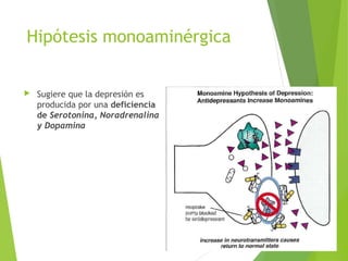 Hipótesis monoaminérgica
 Sugiere que la depresión es
producida por una deficiencia
de Serotonina, Noradrenalina
y Dopamina
 