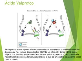 Ácido Valproico
El Valproato puede ejercer efectos antimaníacos cambiando la sensibilidad de los
Canales de Na+ voltaje dependientes (CSVD). La inhibición de los CSVD daría
lugar a una disminución de la entrada de Na+ y esto a su vez a la reducción de la
neurotransmisión excitadora glutamatérgica, lo que es un posible mecanismo eficaz
para la manía.
 