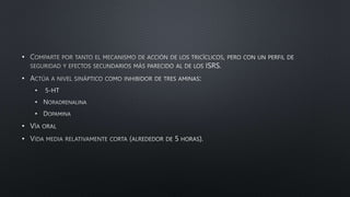 •
•
•
•
•
•
•
 