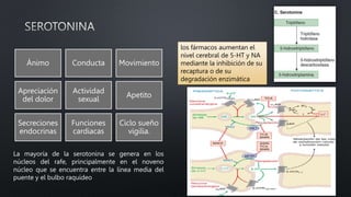 Ánimo Conducta Movimiento
Apreciación
del dolor
Actividad
sexual
Apetito
Secreciones
endocrinas
Funciones
cardiacas
Ciclo sueño
vigilia.
La mayoría de la serotonina se genera en los
núcleos del rafe, principalmente en el noveno
núcleo que se encuentra entre la línea media del
puente y el bulbo raquídeo
los fármacos aumentan el
nivel cerebral de 5-HT y NA
mediante la inhibición de su
recaptura o de su
degradación enzimática
 