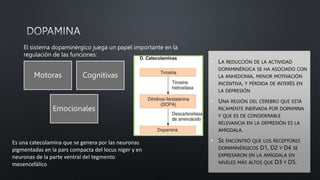 Motoras Cognitivas
Emocionales
• LA REDUCCIÓN DE LA ACTIVIDAD
DOPAMINÉRGICA SE HA ASOCIADO CON
LA ANHEDONIA, MENOR MOTIVACIÓN
INCENTIVA, Y PÉRDIDA DE INTERÉS EN
LA DEPRESIÓN
• UNA REGIÓN DEL CEREBRO QUE ESTÁ
RICAMENTE INERVADA POR DOPAMINA
Y QUE ES DE CONSIDERABLE
RELEVANCIA EN LA DEPRESIÓN ES LA
AMÍGDALA.
• SE ENCONTRÓ QUE LOS RECEPTORES
DOPAMINÉRGICOS D1, D2 Y D4 SE
EXPRESARON EN LA AMÍGDALA EN
NIVELES MÁS ALTOS QUE D3 Y D5.
El sistema dopaminérgico juega un papel importante en la
regulación de las funciones:
Es una catecolamina que se genera por las neuronas
pigmentadas en la pars compacta del locus niger y en
neuronas de la parte ventral del tegmento
mesencefálico
 