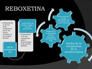 REBOXETINA
                                                  bloqueareceptor
                                                       es alfa-
                                                  adrenérgicos de
                                                   las células del
• estimulació     mejorarían la                   nucleo ceruleos
  n de los       apatía, fatiga y
  beta               retardo
  receptores       psicomotor
  de la vía                          disminuye
  locus                             la descarga
  ceruleus a    • estimulació          de las
  la corteza      n de los           neuronas
  frontal         receptores        noradrenérg
                  alfa 2                icas
                  proyectados
                  a la corteza                              Inhibe de la
    efecto
                  límbica                                   recaptacion
  antidepres                                                   de la
      ivo                                                  noradrenalina
 