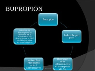 BUPROPION
                            Bupropion



      inhibiría las
    descargas de la
     neurona NE y                               hidroxibupro
    aumentaría las
  descargas de la 5HT                               pion
    de las neuronas
   serrotonínérgicas




                                           Bloquean
              activar los
                                              más
              receptores
                                        intensamente
                alfa-1
                                         el transporte
             adrenérgicos
                                             de NE
 